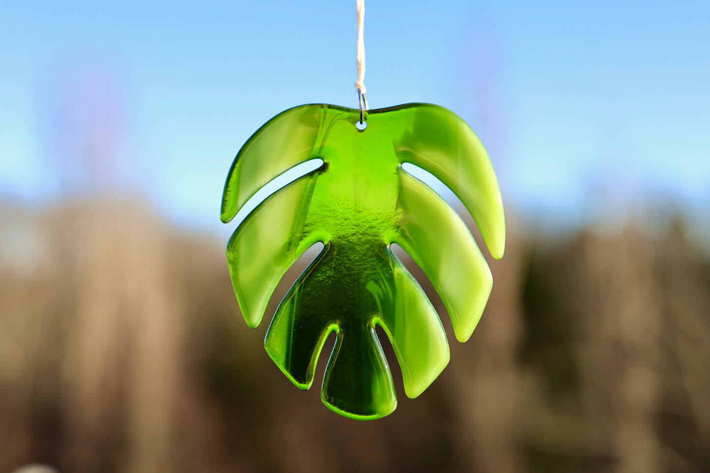 Sonnenfänger Monstera-Blatt