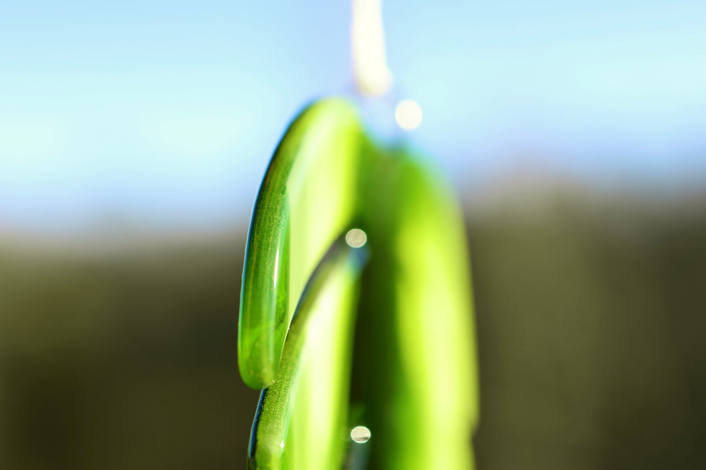Sonnenfänger Monstera-Blatt