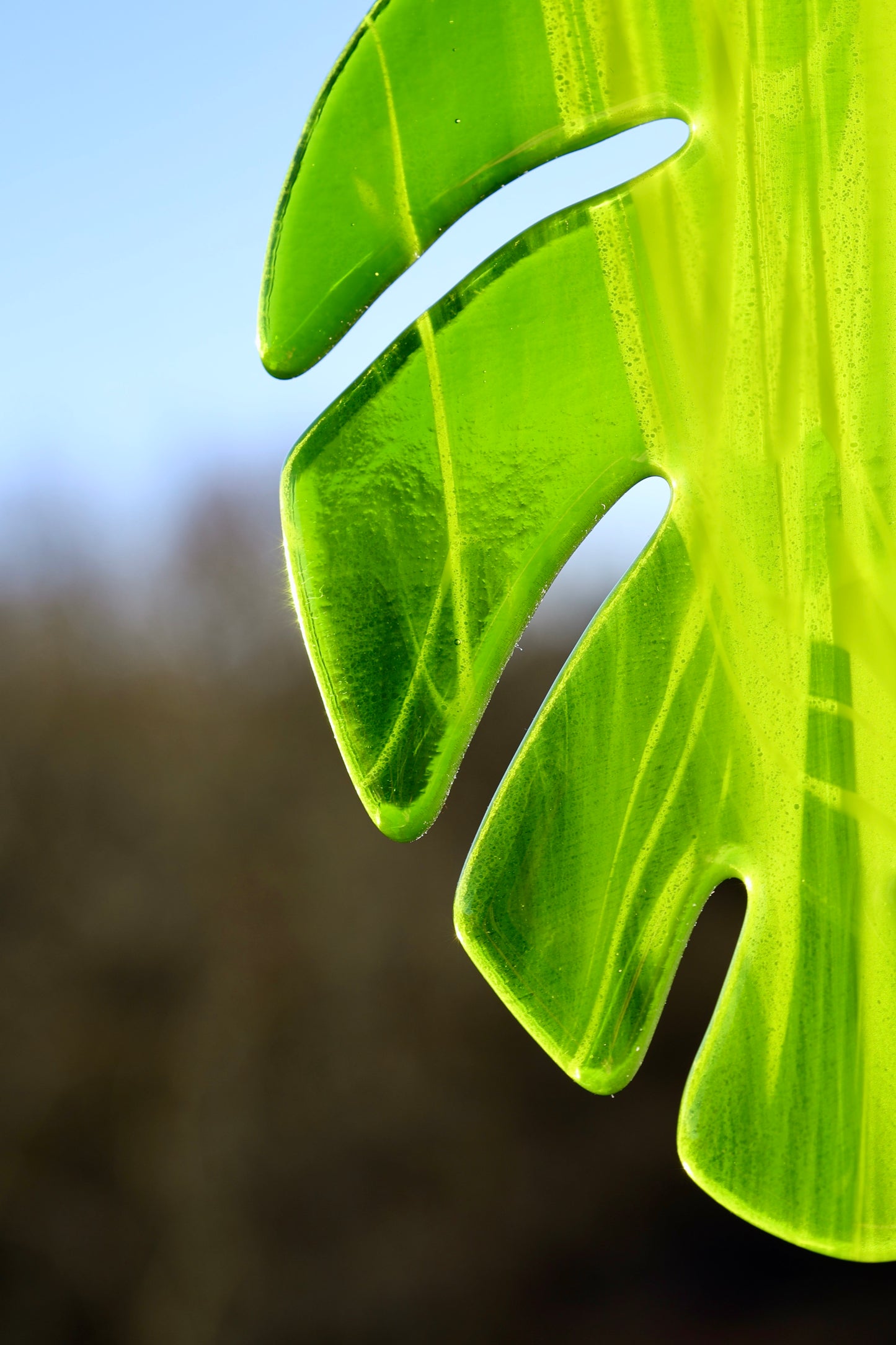 Sonnenfänger Monstera-Blatt