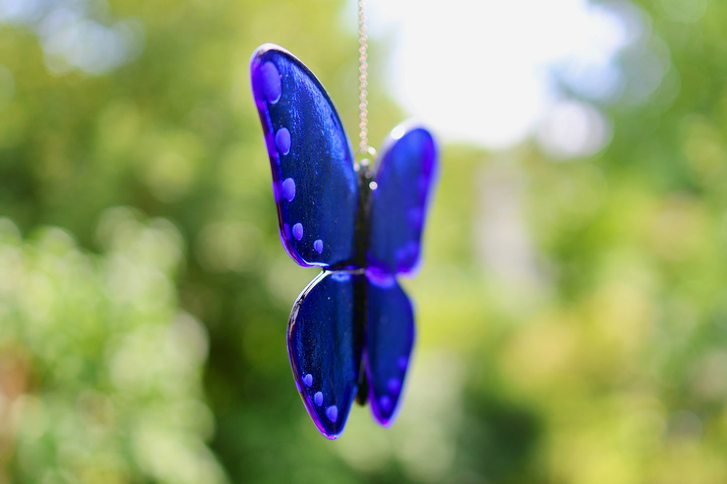 Sonnenfänger Blauer Schmetterling
