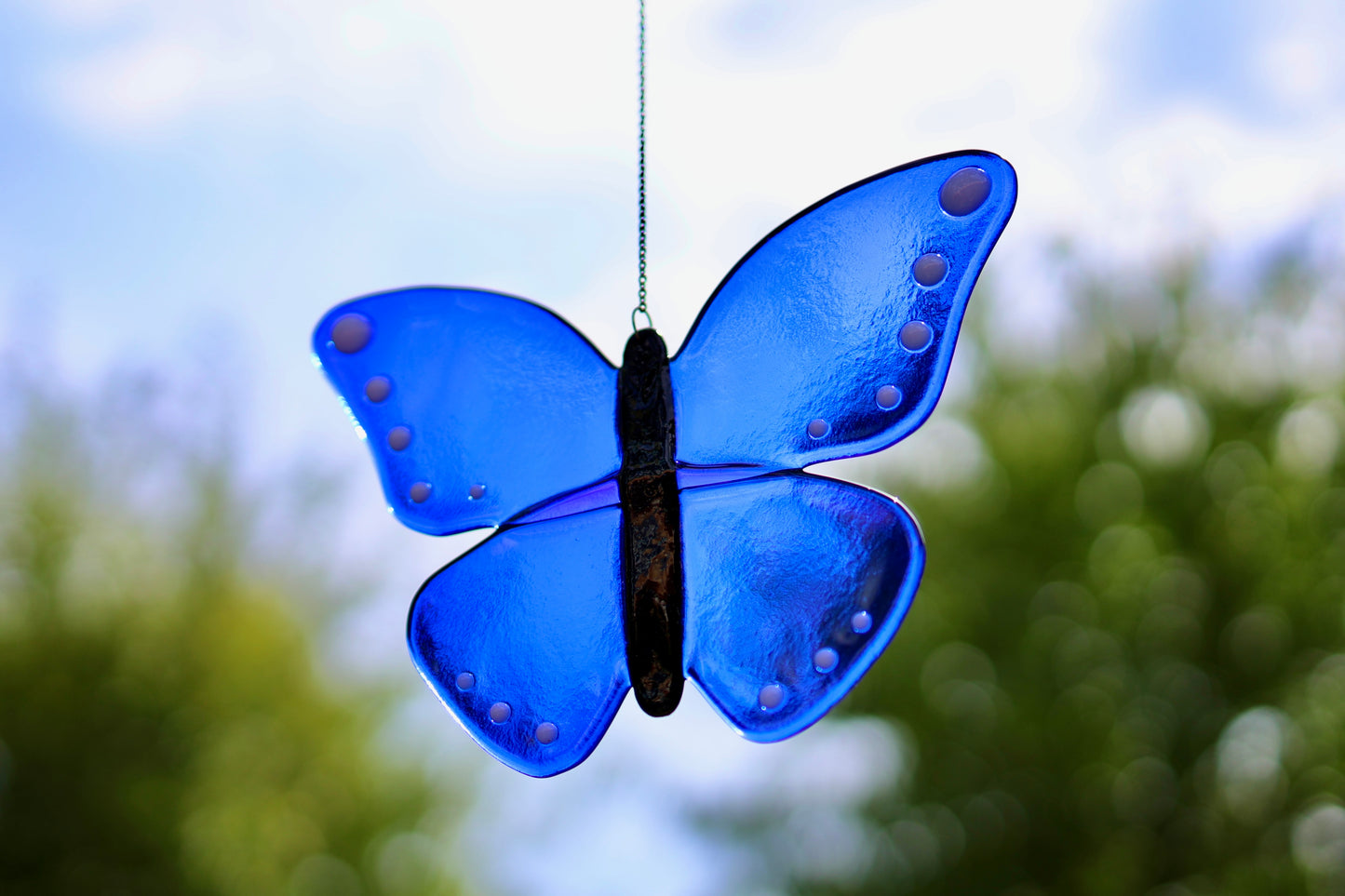 Sonnenfänger Blauer Schmetterling