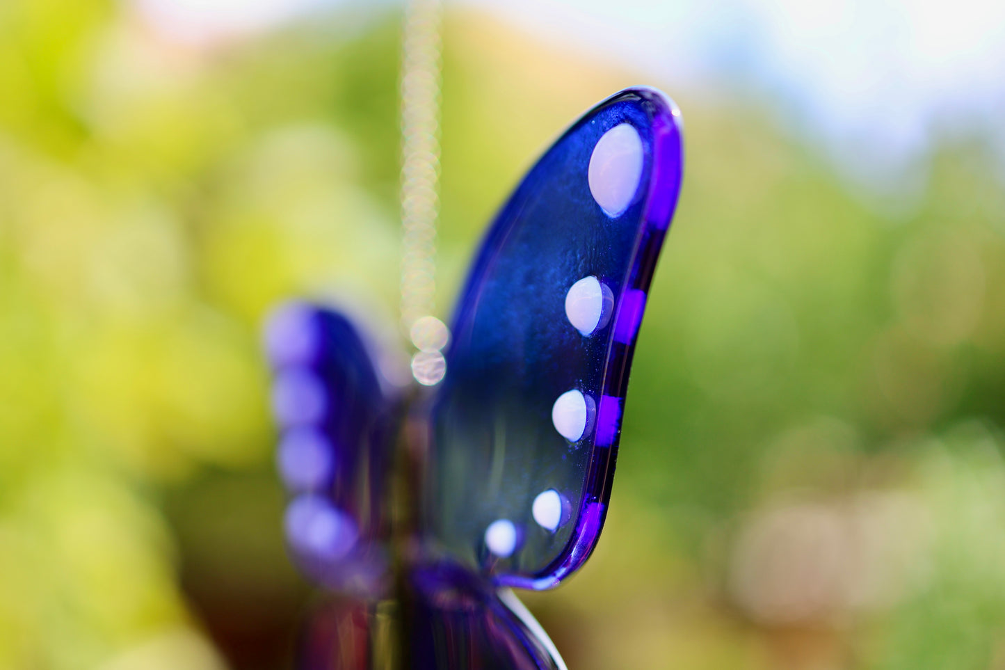 Sonnenfänger Blauer Schmetterling
