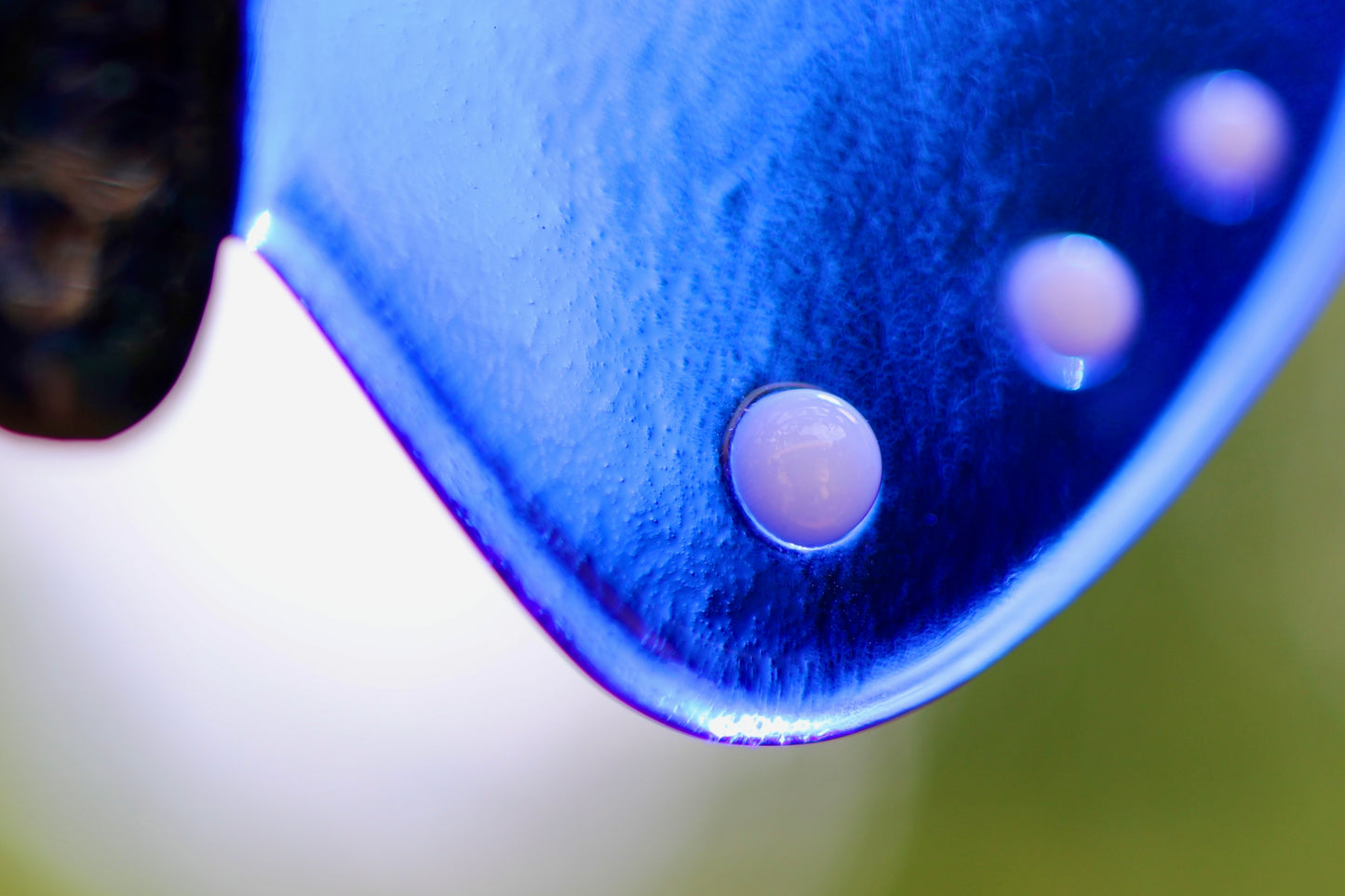 Sonnenfänger Blauer Schmetterling
