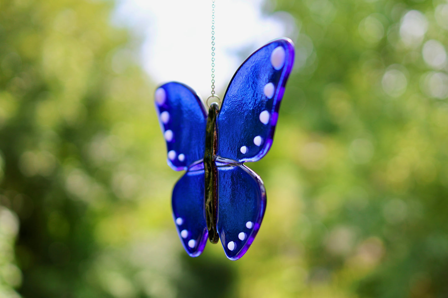 Blauer Schmetterling