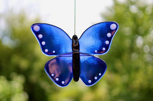 Blauer Schmetterling