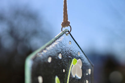 Schneeglöckchen