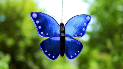 Blauer Schmetterling