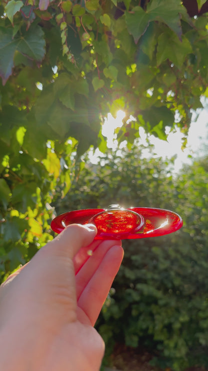 Sonnenfänger "Herbstkürbis"